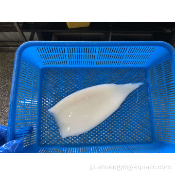 Preço de tubo de lula congelada de melhor qualidade para exportação